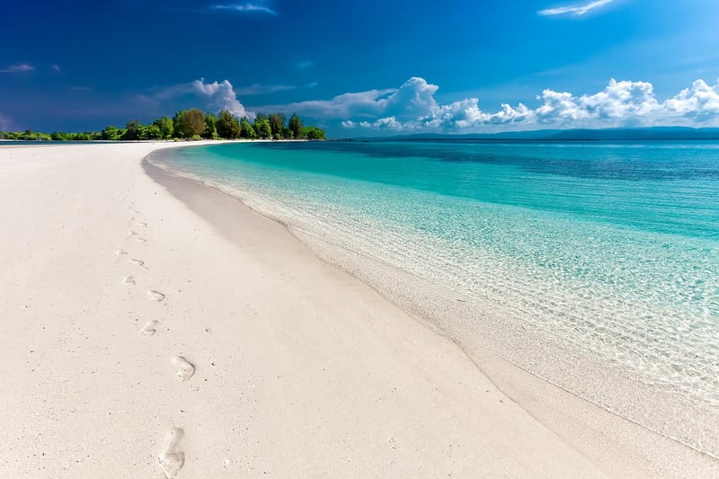 Beachfront Paradise